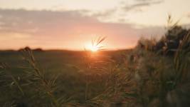 Louis-Evrard QUILLIARD - QUILLIARD