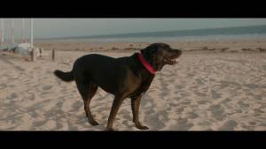 Louis-Evrard QUILLIARD - QUILLIARD